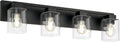 Black Square Glass 4-Light Farmhouse Vanity Light